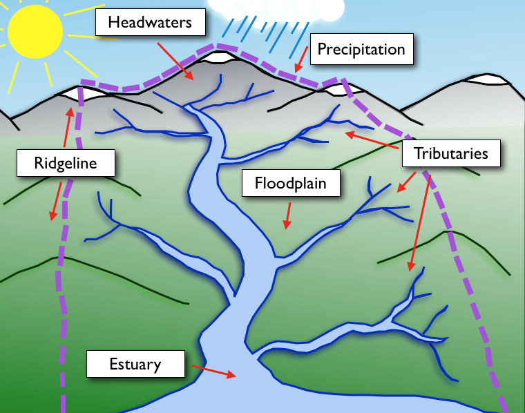 What Is A Watershed And What Does It Consists Of 