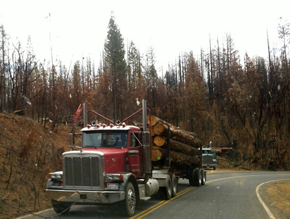 Timber Industry Long Service Leave