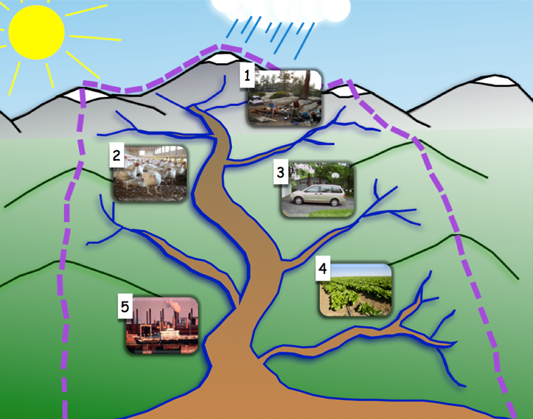The Watershed Game – Clean it up - CSERC
