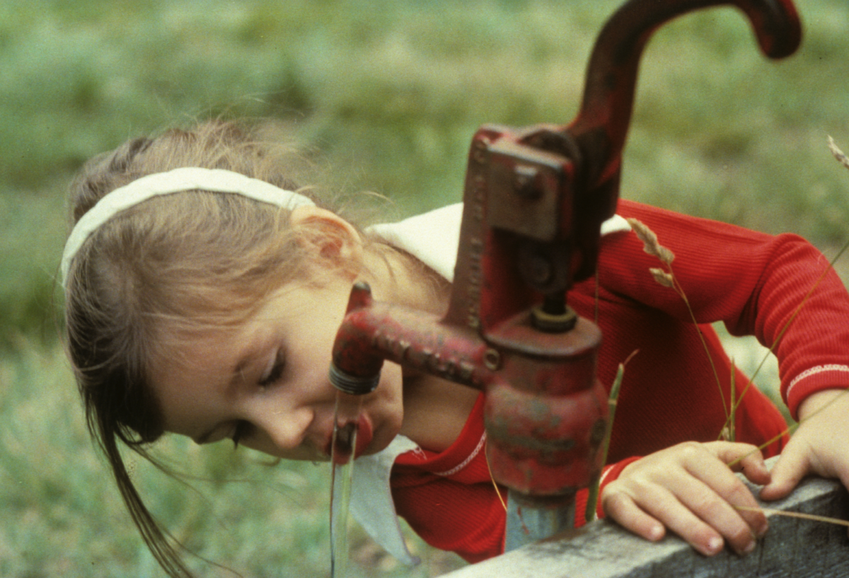 Consejos Para Que Pueda Evitar El Desperdicio De Agua En Su Casa