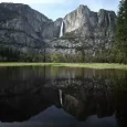 Rare Animal Reintroduced to Yosemite Meadow for the First Time