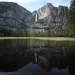 Se reintroduce un animal raro en un prado de Yosemite por primera vez