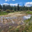 Park service touts 2nd phase completion of $30M wetland restoration at Ackerson Meadow