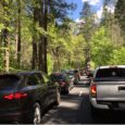 In major shift, Yosemite delays reservation system amid Trump administration review