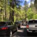 In major shift, Yosemite delays reservation system amid Trump administration review